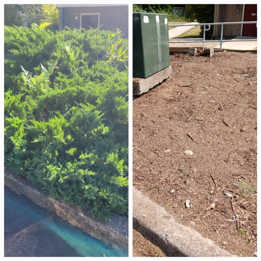 Trusted lawn care service in Kerby, OR by Kerry Smith Lawn and Yard Maintenance