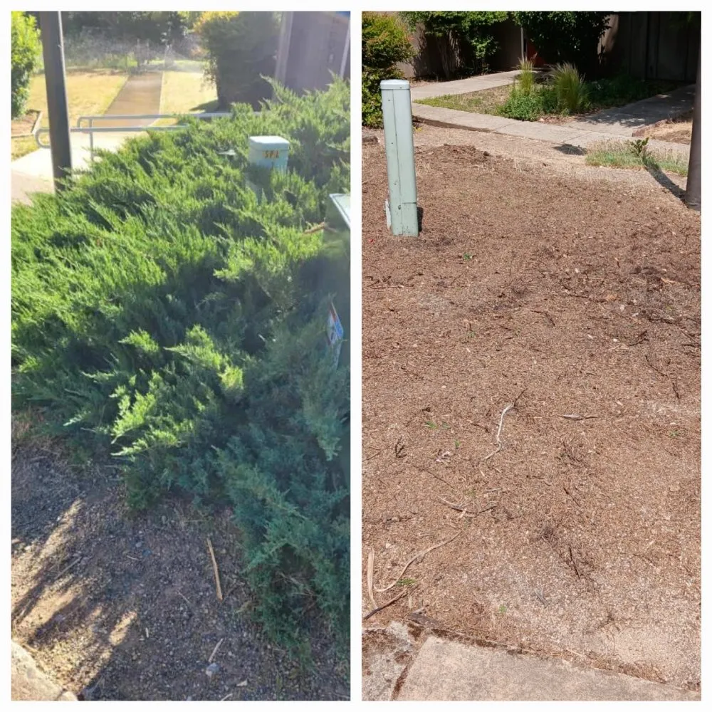 Professional lawn mowing service for homes in Kerby, OR by Kerry Smith Lawn and Yard Maintenance