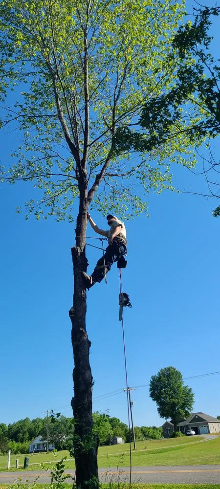 Local outdoor landscaping near you across Louisa, VA - Kersey's Tree and Landscaping Services