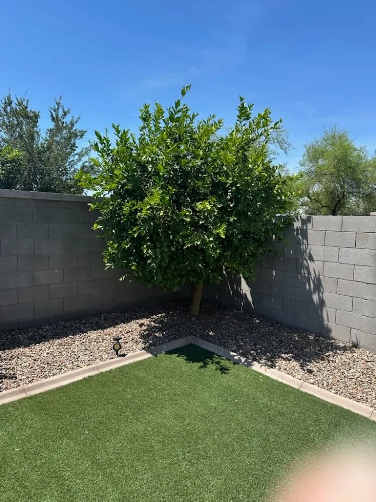 Trusted yard cleanup service for homes across Florence, AZ - Kesler Landscaping