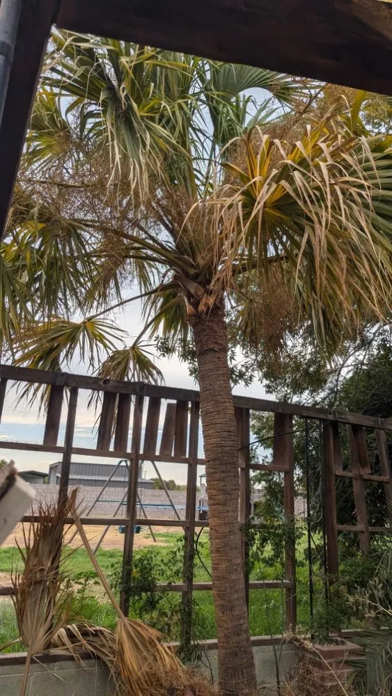 Reliable outdoor landscaping experts serving Florence, AZ - Kesler Landscaping