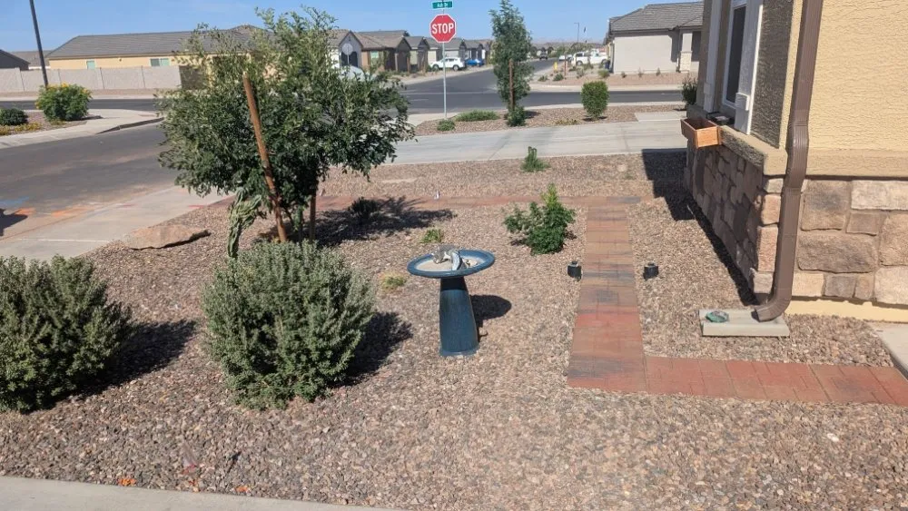 Custom yard maintenance for outdoor upgrades across Florence, AZ - Kesler Landscaping