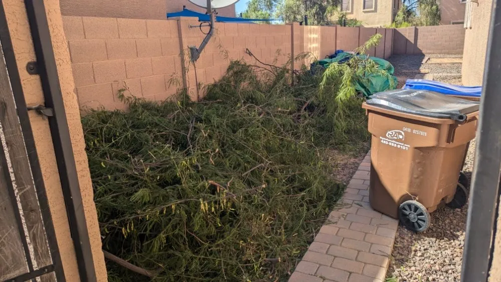 Top-rated residential landscaping for year-round maintenance in Florence, AZ by Kesler Landscaping