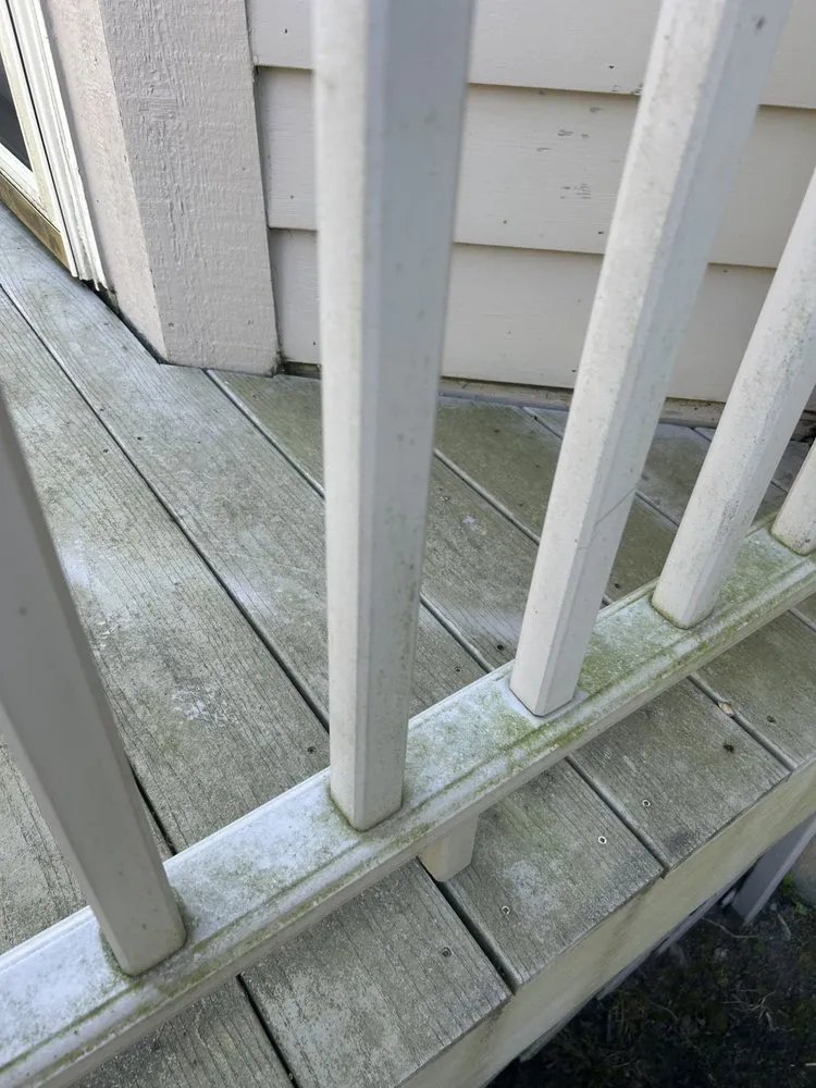 Custom lawn mowing service for year-round maintenance across Rochester, NY - Kester’s