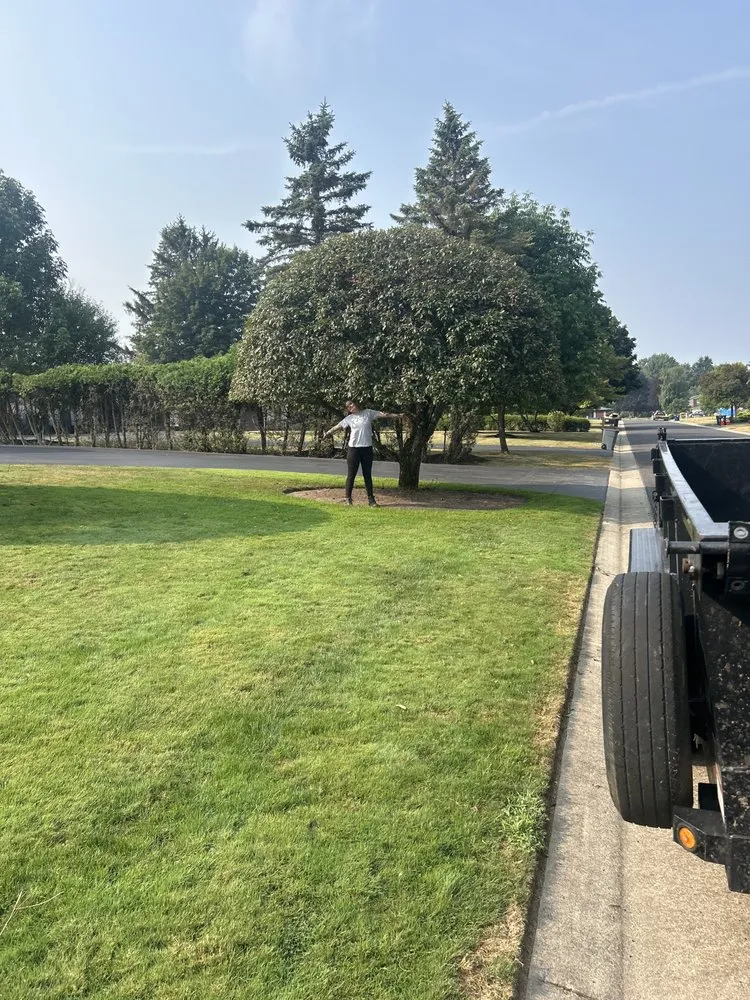 Affordable landscaping services for homes across Rochester, NY - Kester’s