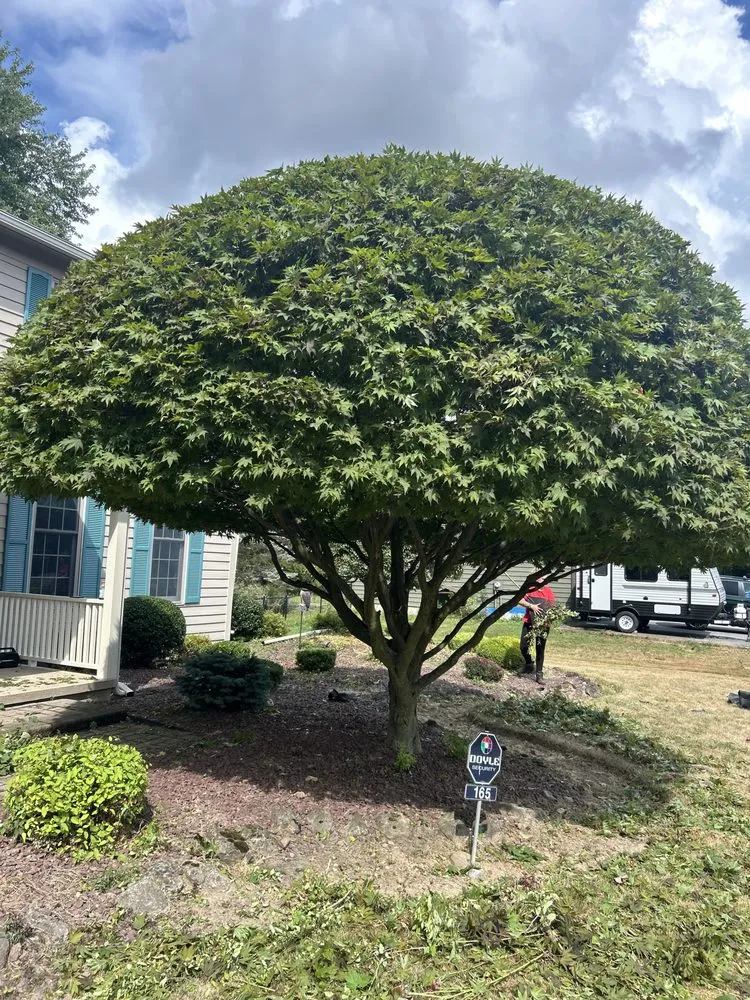 Local residential landscaping in Rochester, NY by Kester’s