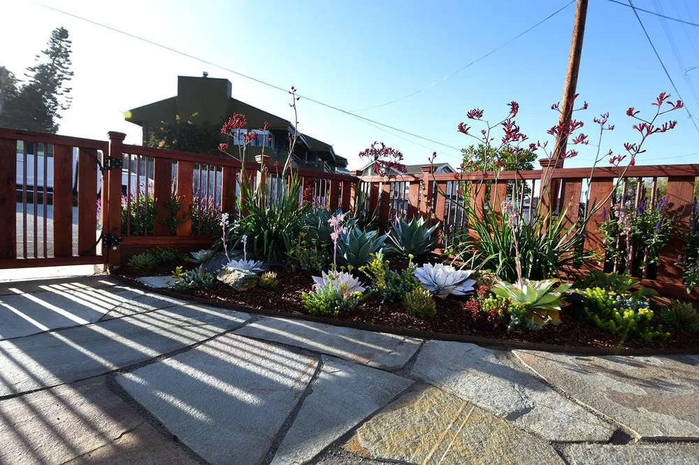 Trusted lawn care service in Los Osos, CA - Kestrel Landscapes