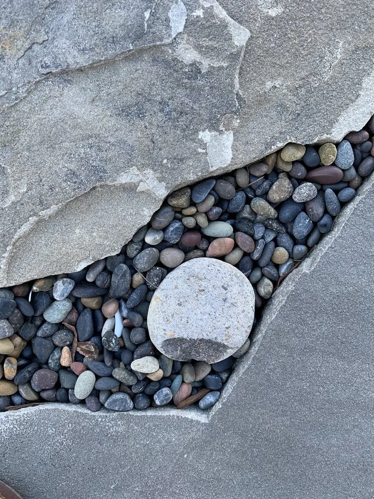 Trusted yard maintenance in Los Osos, CA by Kestrel Landscapes