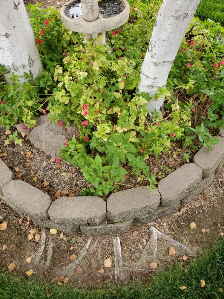 Custom garden landscaping in Yuba City, CA - Ketcher'Scape Yard Service