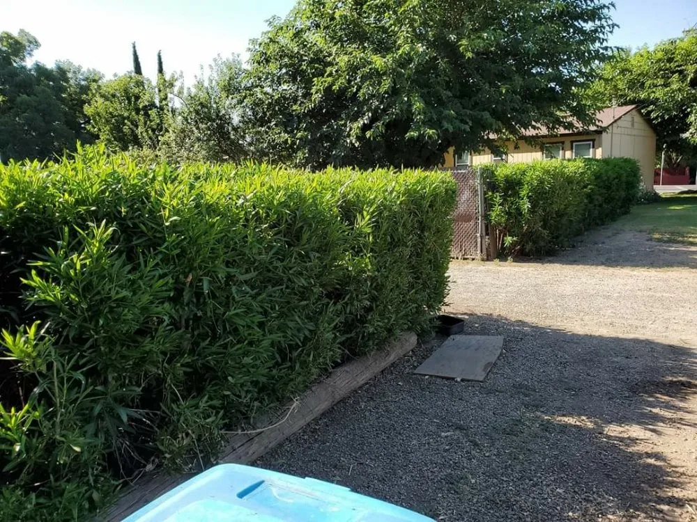 Professional lawn mowing service in Yuba City, CA by Ketcher'Scape Yard Service