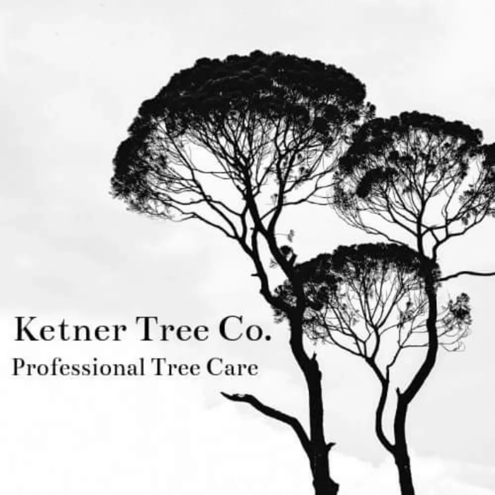 Professional landscape installation experts serving Prescott, AZ - Ketner Tree and Landscaping