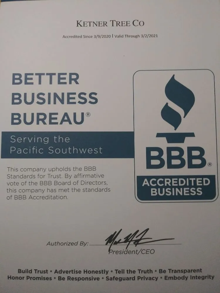 Trusted landscaping services in Prescott, AZ by Ketner Tree and Landscaping