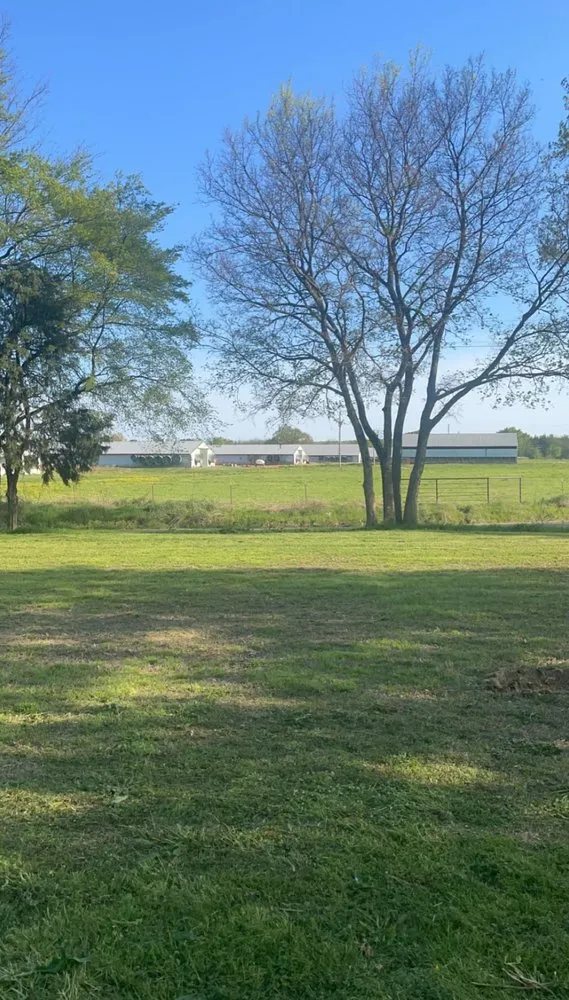 Custom landscape installation in Ozark, AR by Ketter’s Lawn Care Services