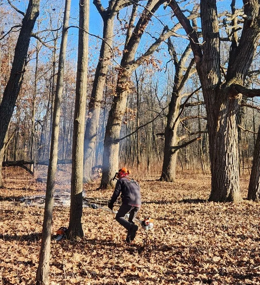 Affordable outdoor landscaping in Palmyra, WI - Kettle Moraine Land Stewards
