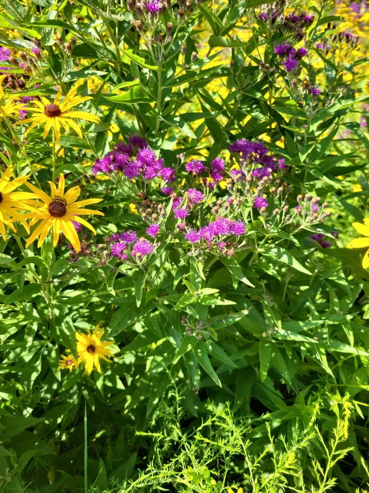 Affordable outdoor landscaping experts serving Palmyra, WI - Kettle Moraine Land Stewards