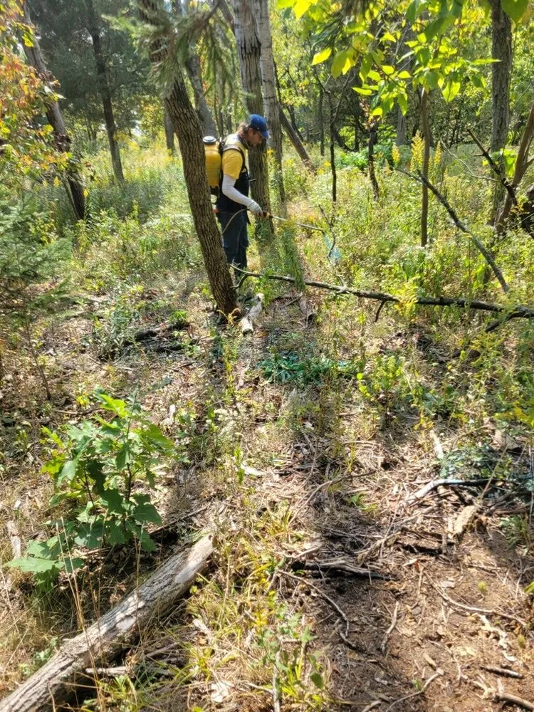 Affordable garden landscaping for homes across Palmyra, WI - Kettle Moraine Land Stewards