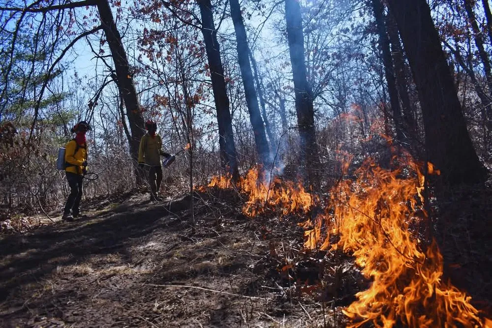 Custom outdoor landscaping experts serving Palmyra, WI - Kettle Moraine Land Stewards