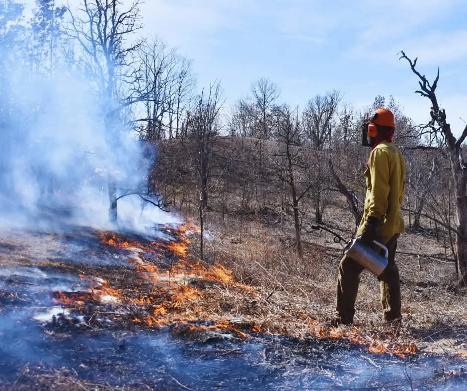 Trusted lawn mowing service for homes across Palmyra, WI - Kettle Moraine Land Stewards