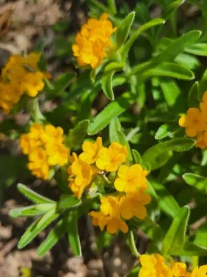 Kettle Moraine Land Stewards