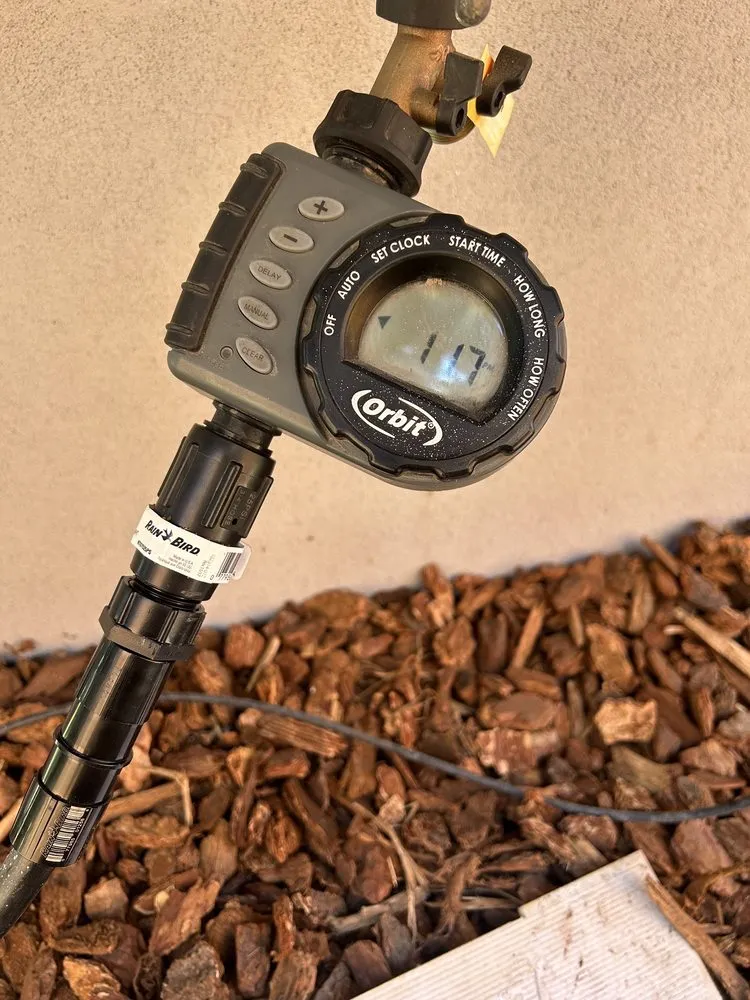 Expert yard cleanup service for residential properties across Morgan Hill, CA - Ketz Garden