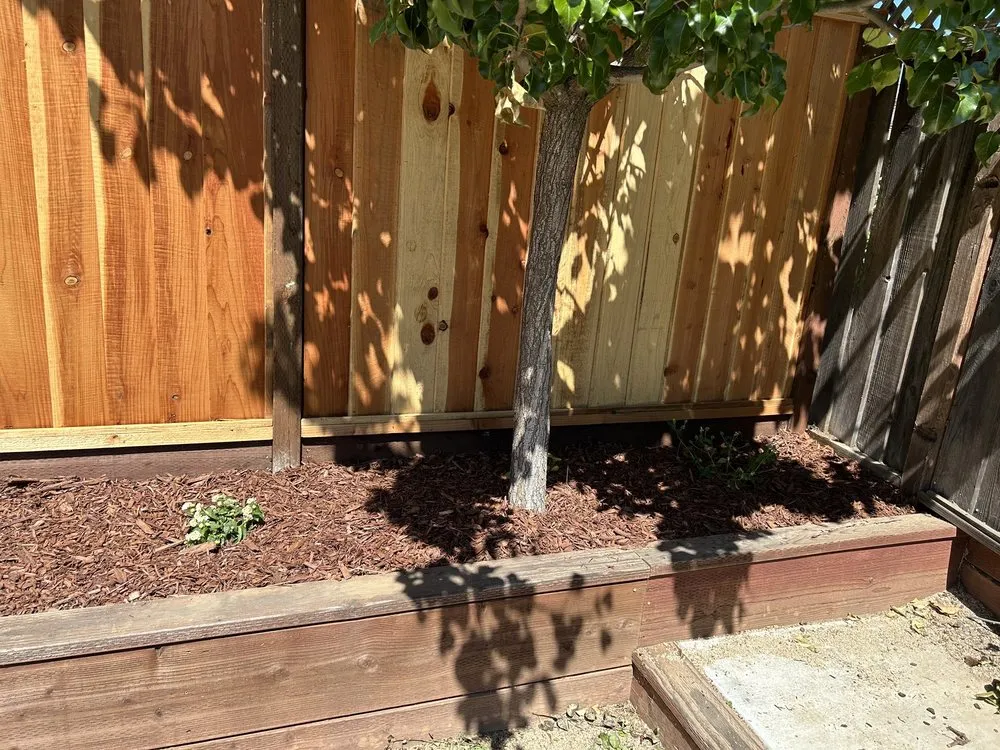 Custom lawn care service with custom design in Morgan Hill, CA by Ketz Garden