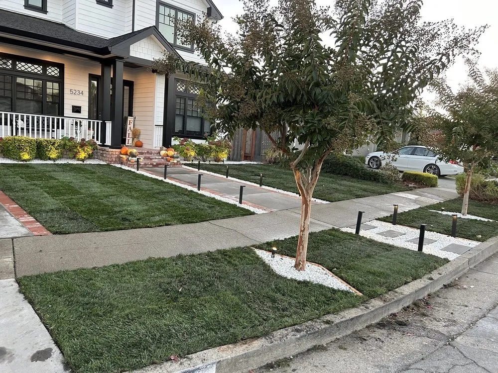 Trusted yard cleanup service in Morgan Hill, CA - Ketz Garden