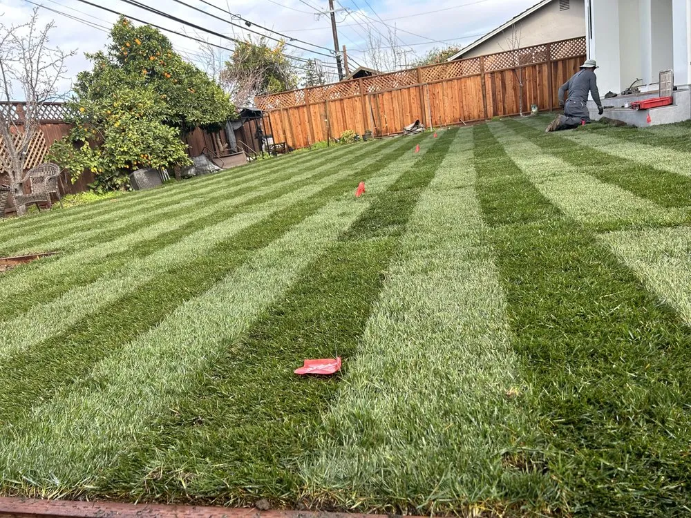 Local landscape installation experts serving Morgan Hill, CA - Ketz Garden