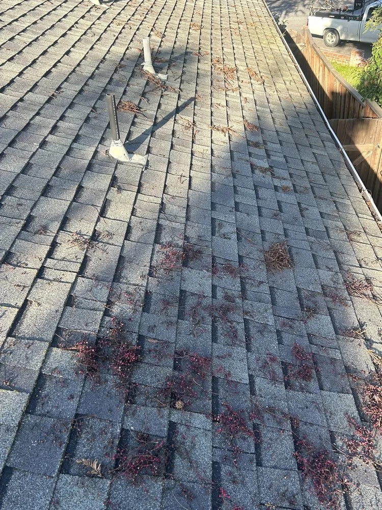 Professional lawn care service for homes in Morgan Hill, CA by Ketz Garden