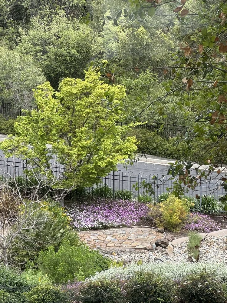 Local outdoor landscaping experts serving Morgan Hill, CA - Ketz Garden