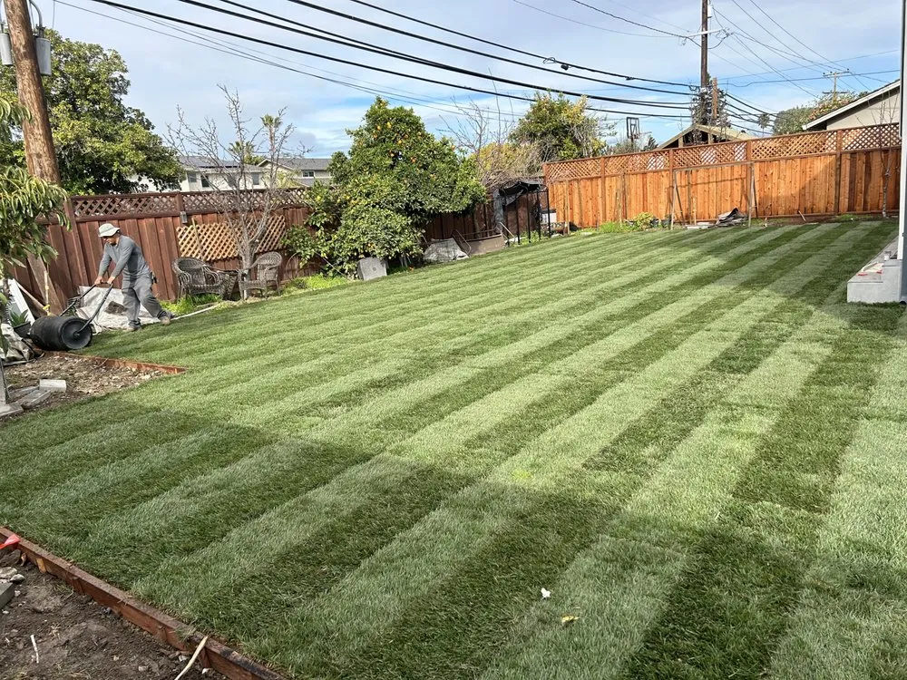 Local landscape design in Morgan Hill, CA - Ketz Garden