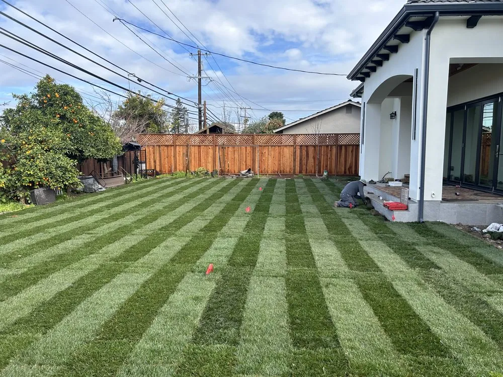 Custom landscape installation in Morgan Hill, CA by Ketz Garden