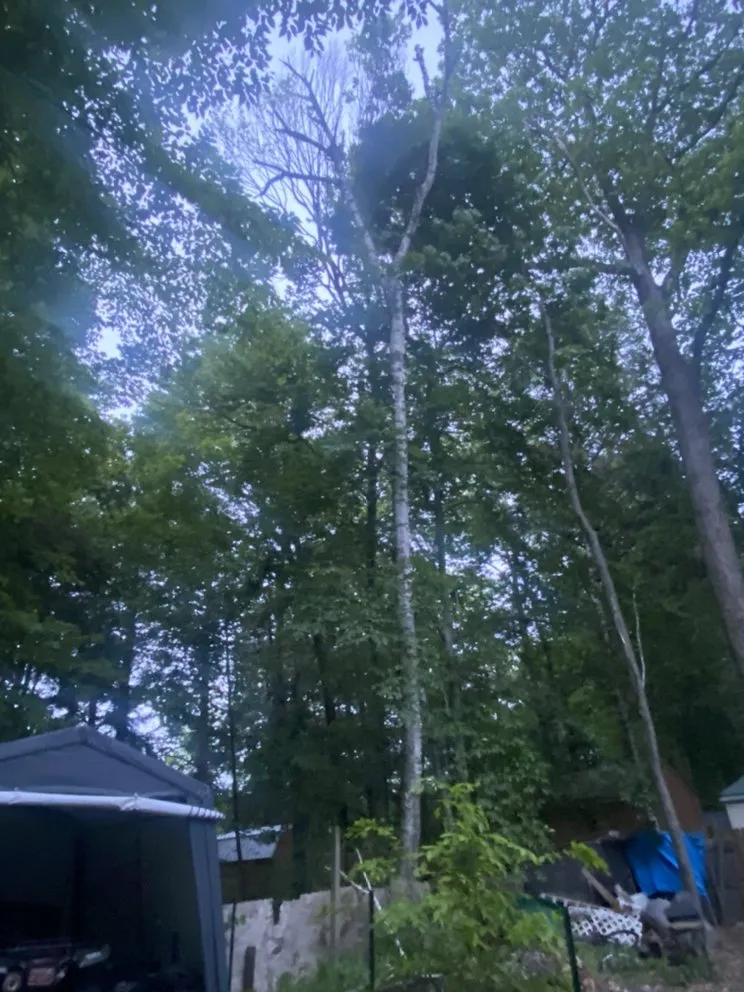 Expert residential landscaping in Woodford, VT by Keus Tree Service and Landscaping