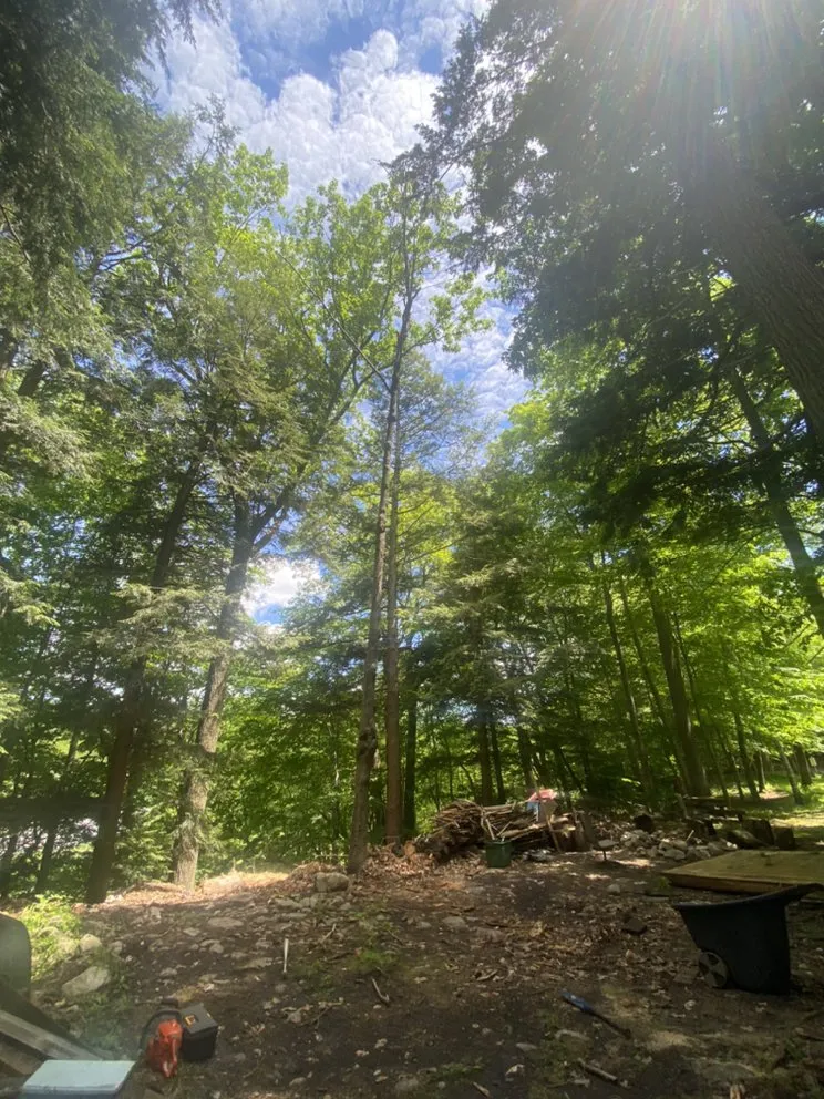 Trusted lawn mowing service in Woodford, VT - Keus Tree Service and Landscaping
