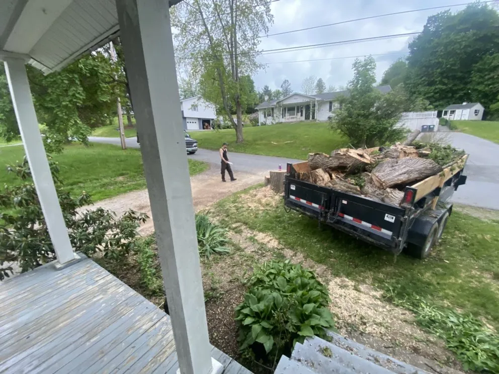 Top-rated landscape installation experts serving Woodford, VT - Keus Tree Service and Landscaping