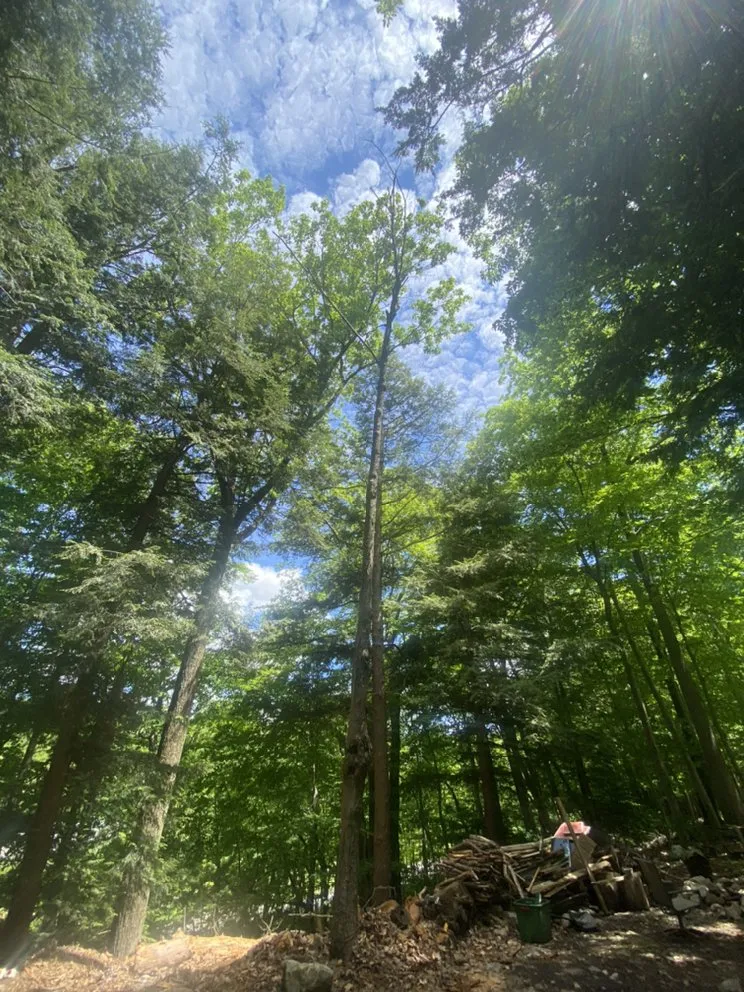 Custom landscape design experts serving Woodford, VT - Keus Tree Service and Landscaping