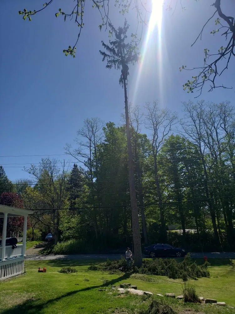Affordable landscaping services in Woodford, VT - Keus Tree Service and Landscaping