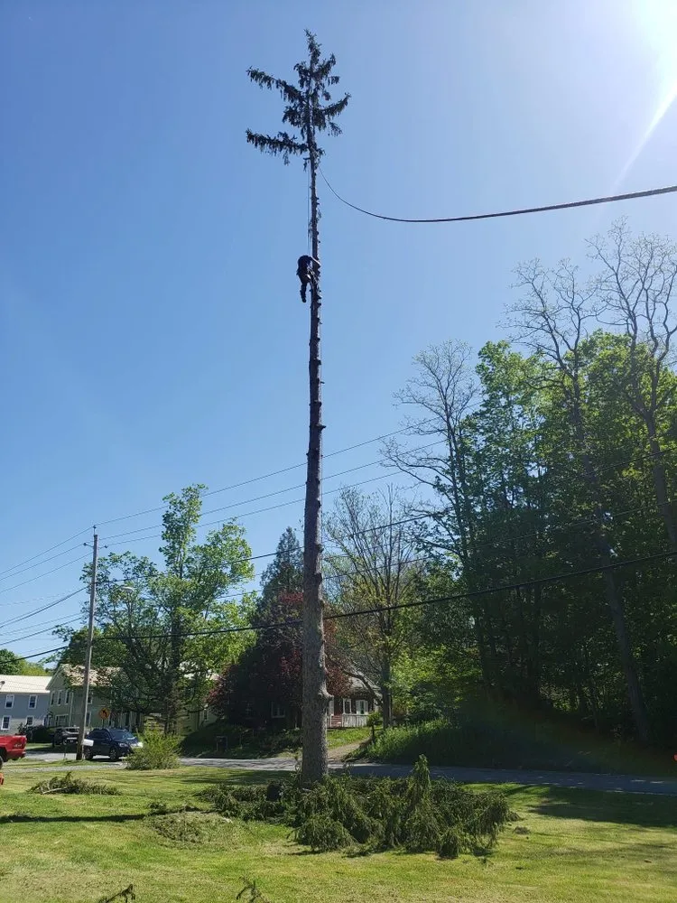 Trusted outdoor landscaping in Woodford, VT - Keus Tree Service and Landscaping