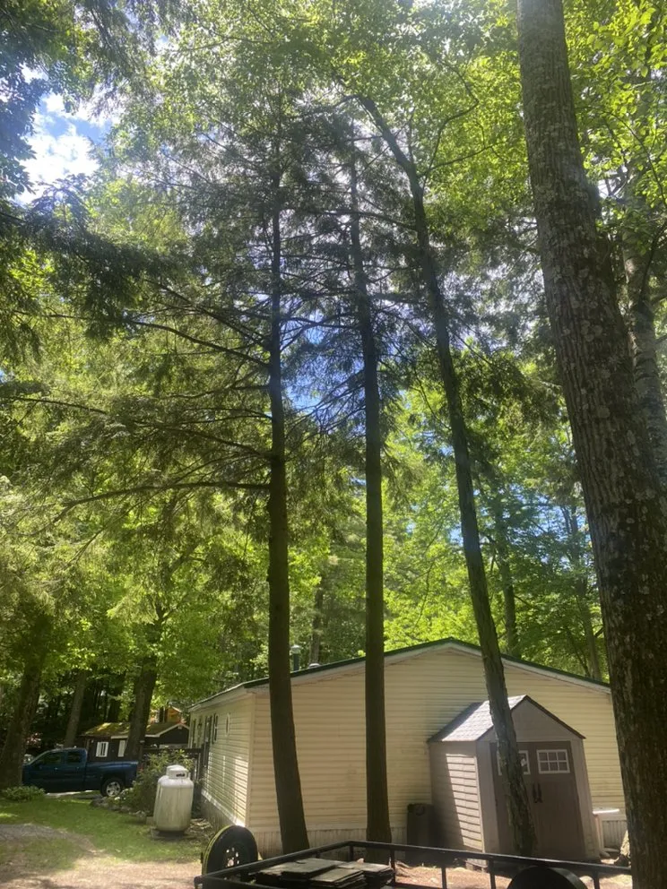 Top-rated landscaping services experts serving Woodford, VT - Keus Tree Service and Landscaping