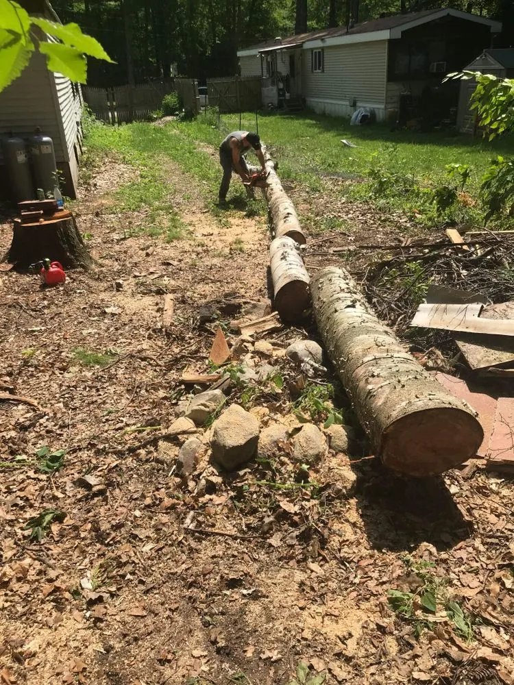 Affordable outdoor landscaping for outdoor upgrades in Woodford, VT by Keus Tree Service and Landscaping