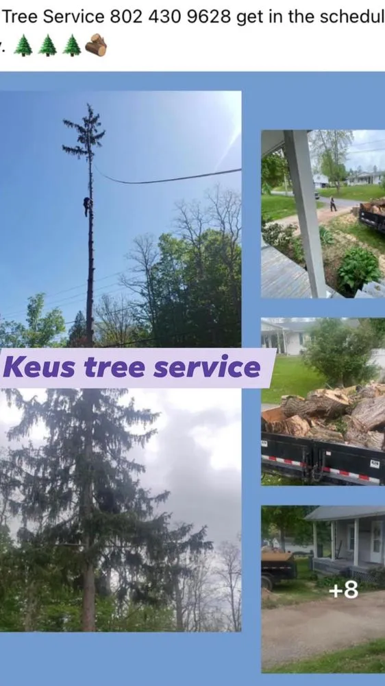Professional outdoor landscaping experts serving Woodford, VT - Keus Tree Service and Landscaping
