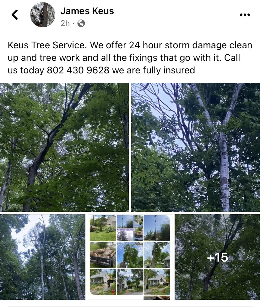 Expert landscape installation in Woodford, VT - Keus Tree Service and Landscaping
