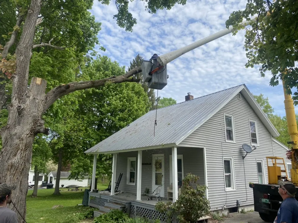 Professional landscape installation in Woodford, VT by Keus Tree Service and Landscaping