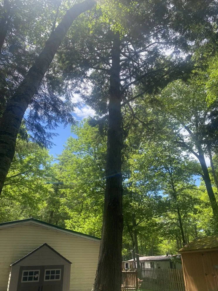 Expert outdoor landscaping experts serving Woodford, VT - Keus Tree Service and Landscaping