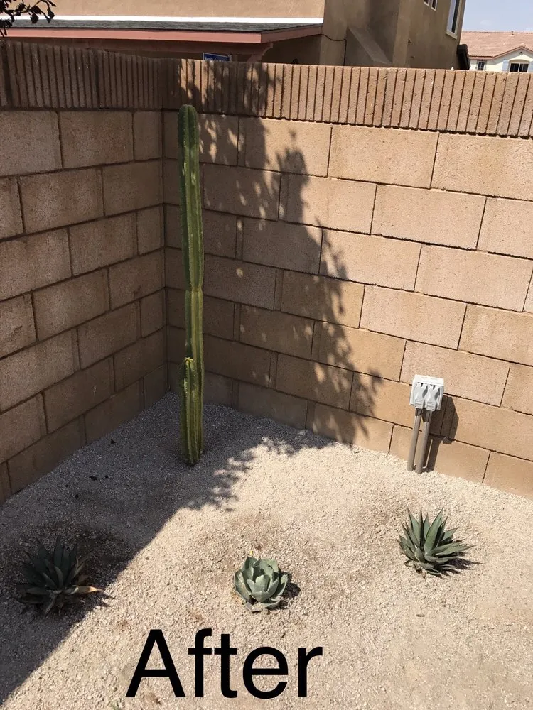 Expert yard cleanup service for residential properties in Antelope Valley, CA by Kevin Brown Landscaping