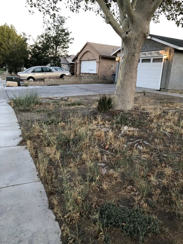 Local outdoor landscaping for residential properties in Antelope Valley, CA by Kevin Brown Landscaping
