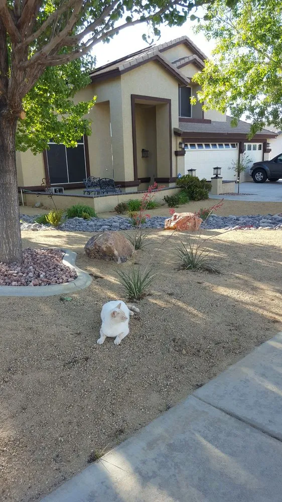 Expert lawn care service experts serving Antelope Valley, CA - Kevin Brown Landscaping