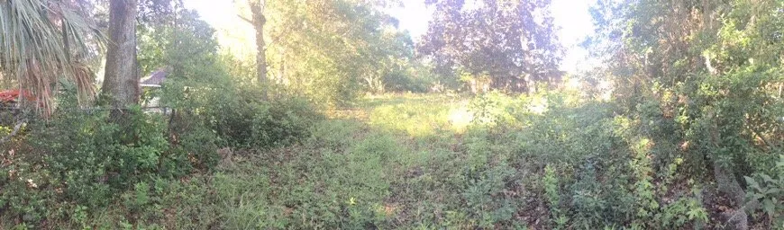 Reliable lawn care service for homes in St. Augustine, FL by Kevin Greer Bush Hog Box Blade and Tractor Work