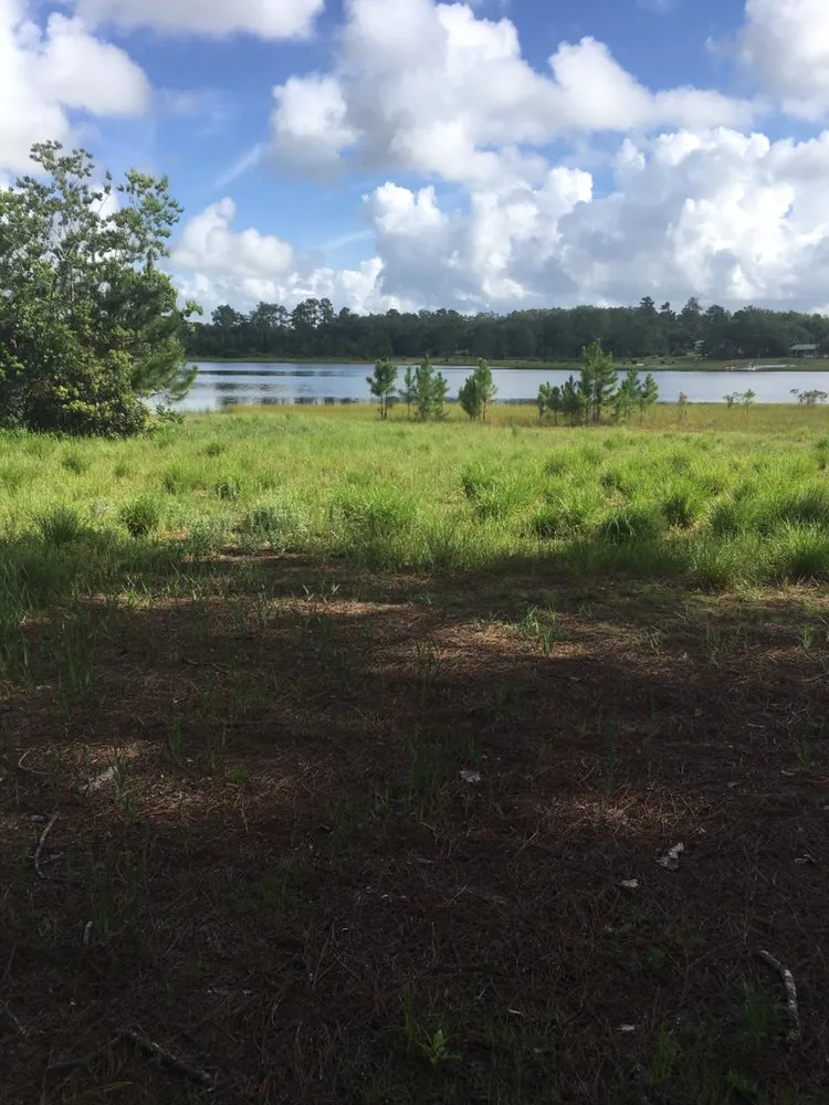 Top-rated lawn care service in St. Augustine, FL - Kevin Greer Bush Hog Box Blade and Tractor Work