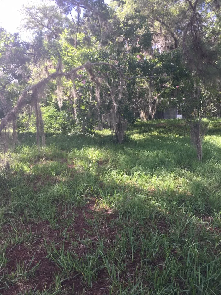 Professional outdoor landscaping experts serving St. Augustine, FL - Kevin Greer Bush Hog Box Blade and Tractor Work