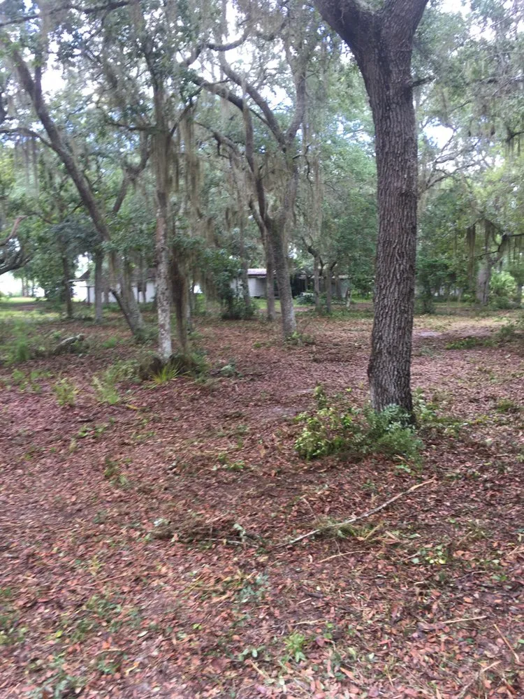 Reliable garden landscaping for year-round maintenance in St. Augustine, FL by Kevin Greer Bush Hog Box Blade and Tractor Work